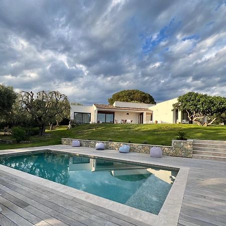Magnifique Villa Moderne Avec Piscine La Gaude Dış mekan fotoğraf